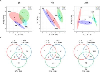 Metabolic Analyses Revealed Time-Dependent Synergistic Killing by Colistin and Aztreonam Combination Against <mark class="highlighted">Multidrug-Resistant Acinetobacter</mark> baumannii